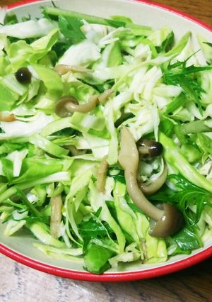 水菜でシャキシャキ☆簡単きのこサラダ-レシピのメイン写真