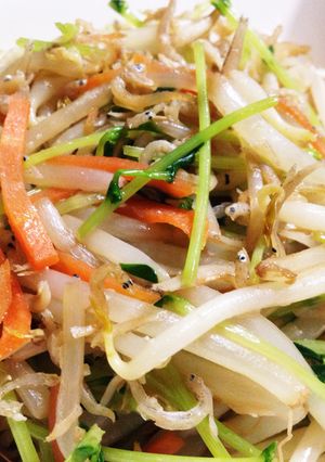 もやしと豆苗としらすの和風炒め-レシピのメイン写真