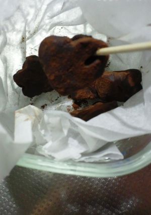 簡単 ミニ生チョコ 1個33カロリー-レシピのメイン写真