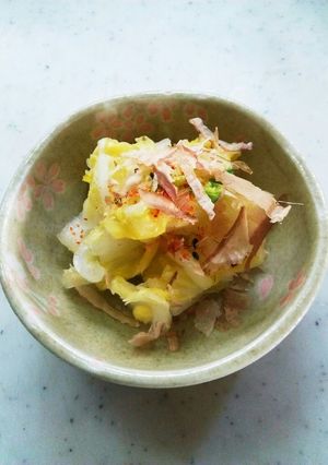 白菜の浅漬け (ポリ袋ジッパー付)-レシピのメイン写真