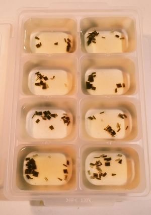 離乳食中期～☆冷凍保存方法①昆布だし-レシピのメイン写真