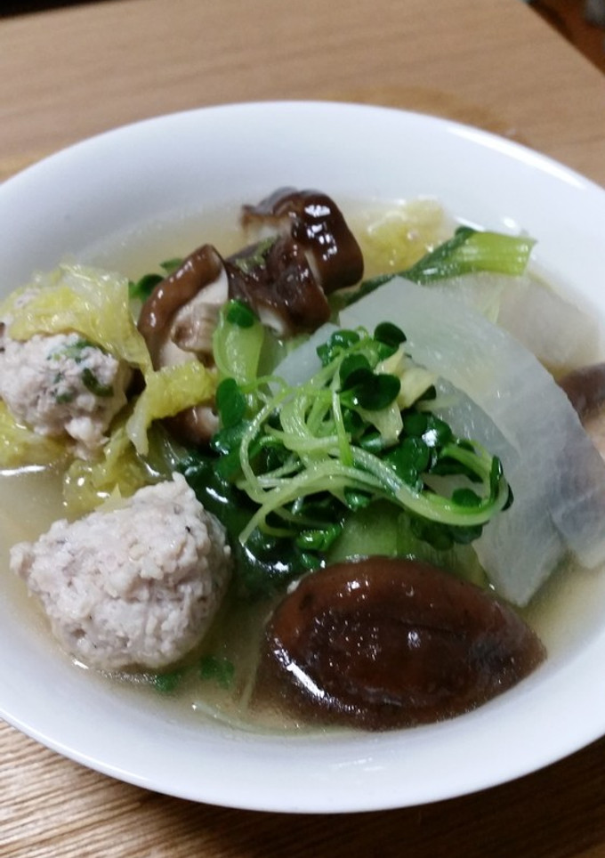 胃腸が弱ってるときの◎大根とつくねの汁物-レシピのメイン写真