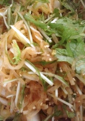 プチっと鍋で簡単キムチ-レシピのメイン写真