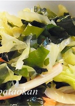 キャベツとワカメの中華風サラダ-レシピのメイン写真
