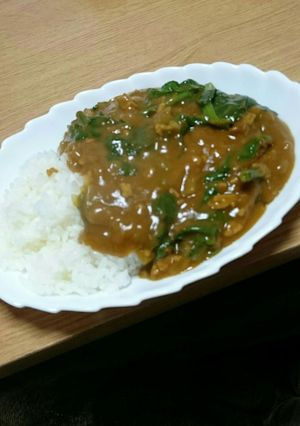 簡単時短！ほうれん草カレー！-レシピのメイン写真