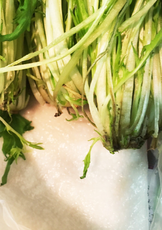 私的水菜の☆長持ち保存-レシピのメイン写真