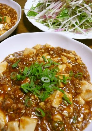 いつもの麻婆豆腐-レシピのメイン写真