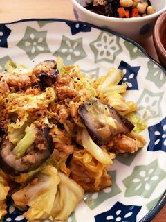鳥ひき肉☆キャベツとなすの味噌炒め-レシピのメイン写真