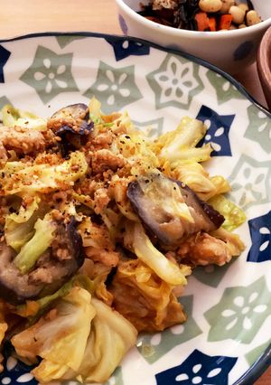 鳥ひき肉☆キャベツとなすの味噌炒め-レシピのメイン写真