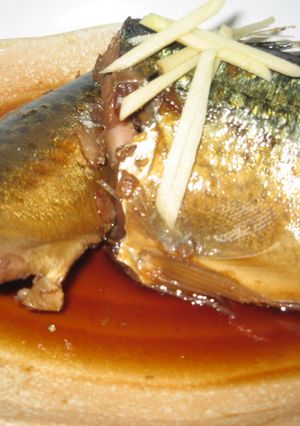 鯖の煮つけ-レシピのメイン写真