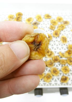 食品乾燥機で自家製ドライフルーツ-レシピのメイン写真
