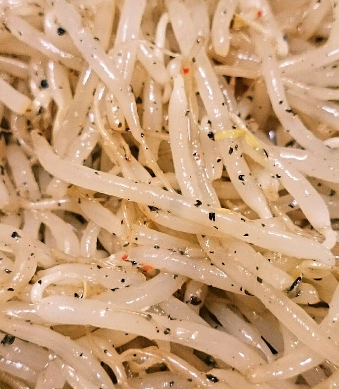 ホットもやしナムルサラダ簡単ビールつまみ by beloved612