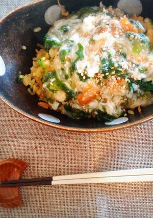 リメイク☆余ったナムルで楽々あんかけ炒飯-レシピのメイン写真