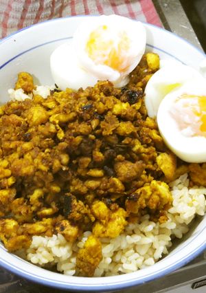 冷凍豆腐でお肉の味と食感☆カレーそぼろ-レシピのメイン写真
