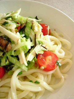 さっぱりとろりん☆冷やしうどん-レシピのメイン写真