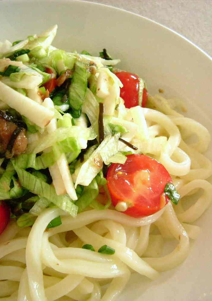 さっぱりとろりん☆冷やしうどん-レシピのメイン写真