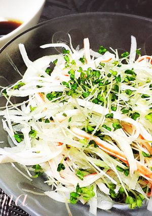スプラウトのサラダ❀ ～わさび醤油ドレ～-レシピのメイン写真