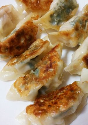 しそ香る✨鶏むね肉の簡単チーズ餃子❇-レシピのメイン写真