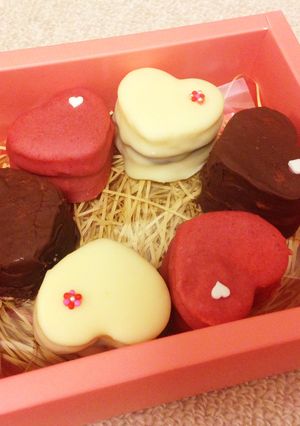 チョコレートケーキ-レシピのメイン写真