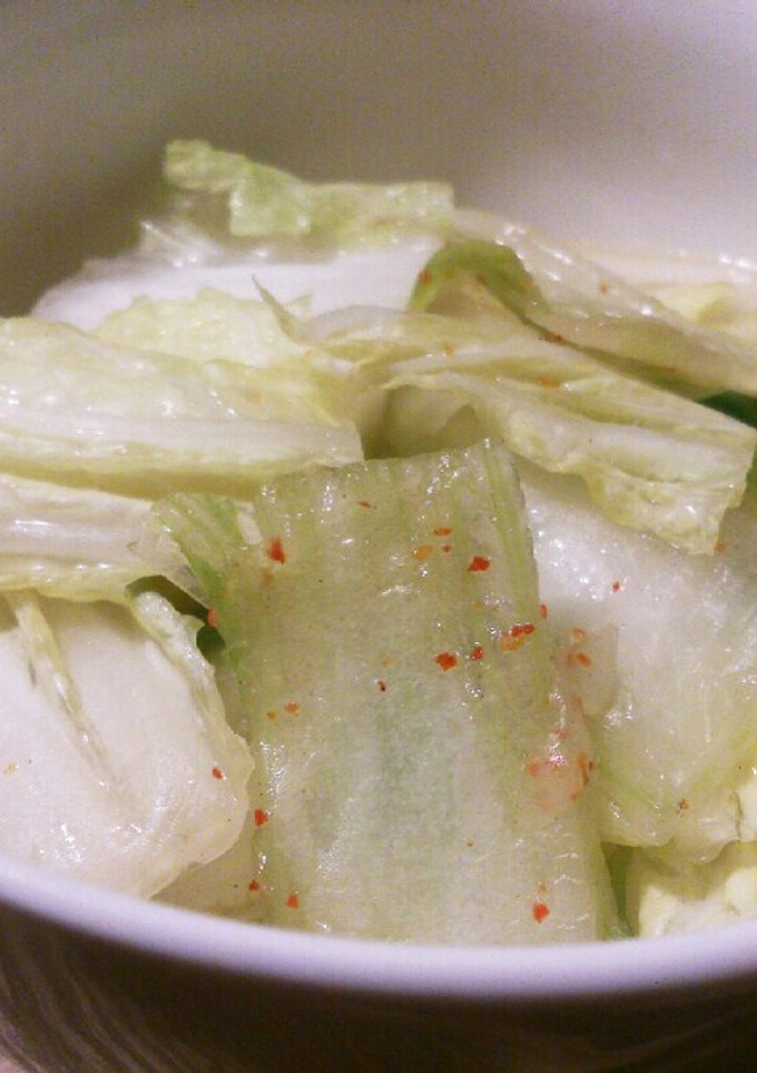 白菜の浅漬け-レシピのメイン写真