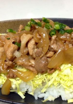 豚丼☆黄金タレ-レシピのメイン写真