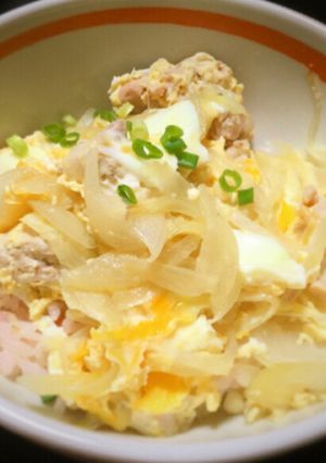 簡単おなかに優しい親子丼(他人丼)-レシピのメイン写真