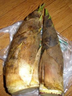 生タケノコの茹で方-レシピのメイン写真