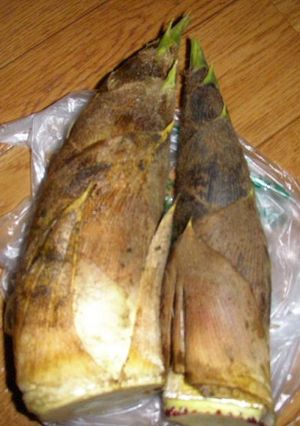 生タケノコの茹で方-レシピのメイン写真