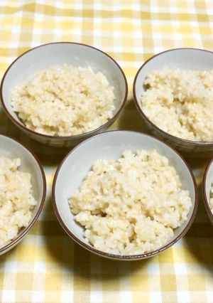 レンジ玄米御飯(茶碗6杯・浸さず70分)-レシピのメイン写真