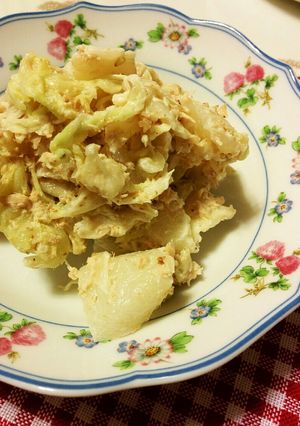 やみつき白菜サラダ☆白菜大量消費-レシピのメイン写真