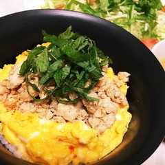รูปของ ごろっと私の鶏そぼろ♡