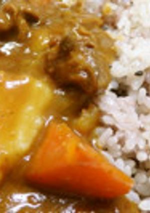 エミューのすじカレー-レシピのメイン写真