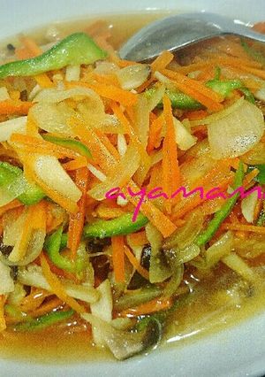 厚揚げのとろ~り野菜あんかけ♥簡単‼-レシピのメイン写真