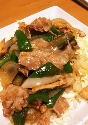 男子満足 野菜たっぷり生姜焼き-レシピのメイン写真