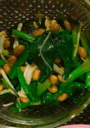 和え物◎ほうれん草えのき海苔の納豆和え-レシピのメイン写真