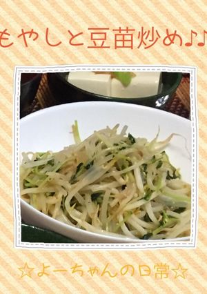 簡単☆安くて栄養満点☆もやしと豆苗炒め-レシピのメイン写真