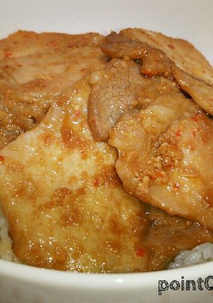 ピリ辛味噌漬け (丼) [冷凍○]-レシピのメイン写真