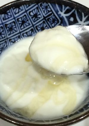 ほのかな塩気が美味しい★塩麹ヨーグルト-レシピのメイン写真