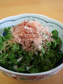 こごみのおひたし-レシピのメイン写真
