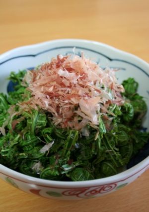 こごみのおひたし-レシピのメイン写真