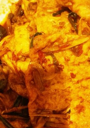 四川揚げ豆腐-レシピのメイン写真