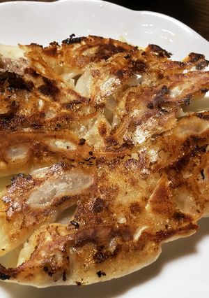 オヤジにも焼ける餃子-レシピのメイン写真