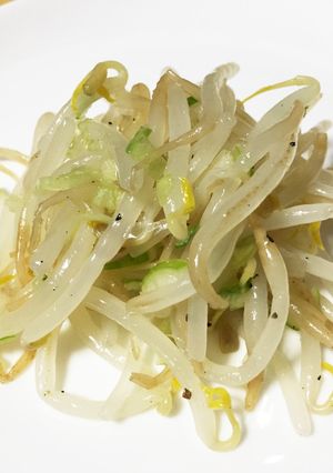 もやしとネギの和え物-レシピのメイン写真