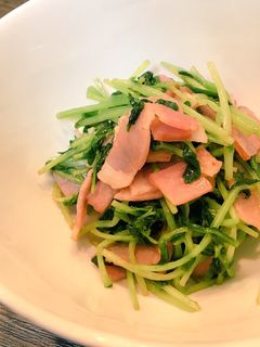 やみつき♡豆苗炒め-レシピのメイン写真