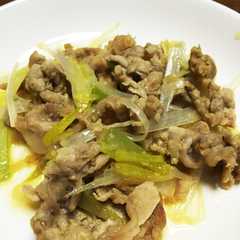 รูปของ 豚肉と長ネギのニンニク味噌炒め