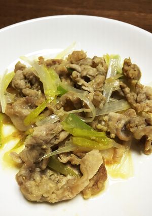 豚肉と長ネギのニンニク味噌炒め-レシピのメイン写真