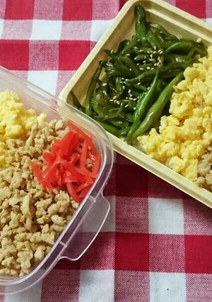三色弁当☆-レシピのメイン写真