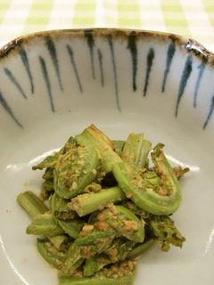【使いきり】こごみのごま和え-レシピのメイン写真