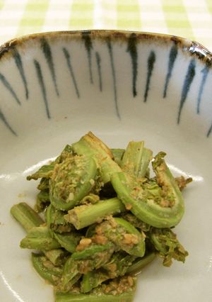 【使いきり】こごみのごま和え-レシピのメイン写真