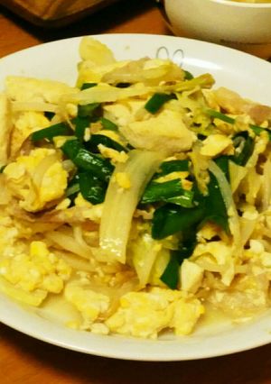 簡単節約❤豚と豆腐のチャンプルー-レシピのメイン写真